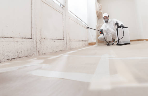 24/7 Emergency Crawl Space Mold Removal experts in Erwin, NC