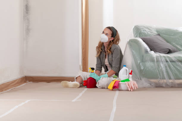 Trusted Black Mold Removal service in Erwin, NC - Cheap Mold Removal