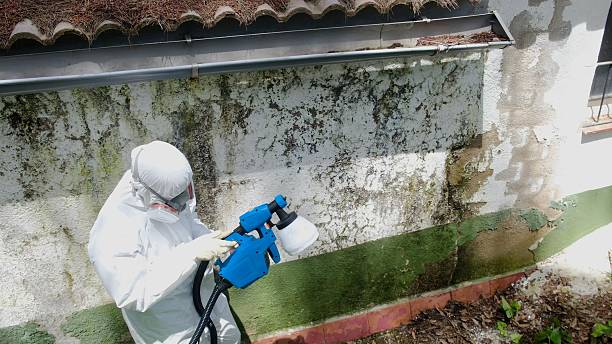 Trusted Mold Testing service in Erwin, NC - Cheap Mold Removal